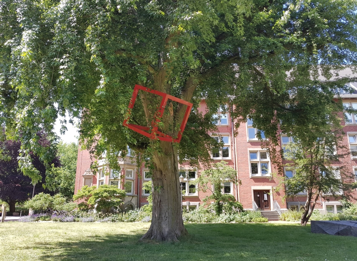 Cube in Trees Schrader Kunstpfad