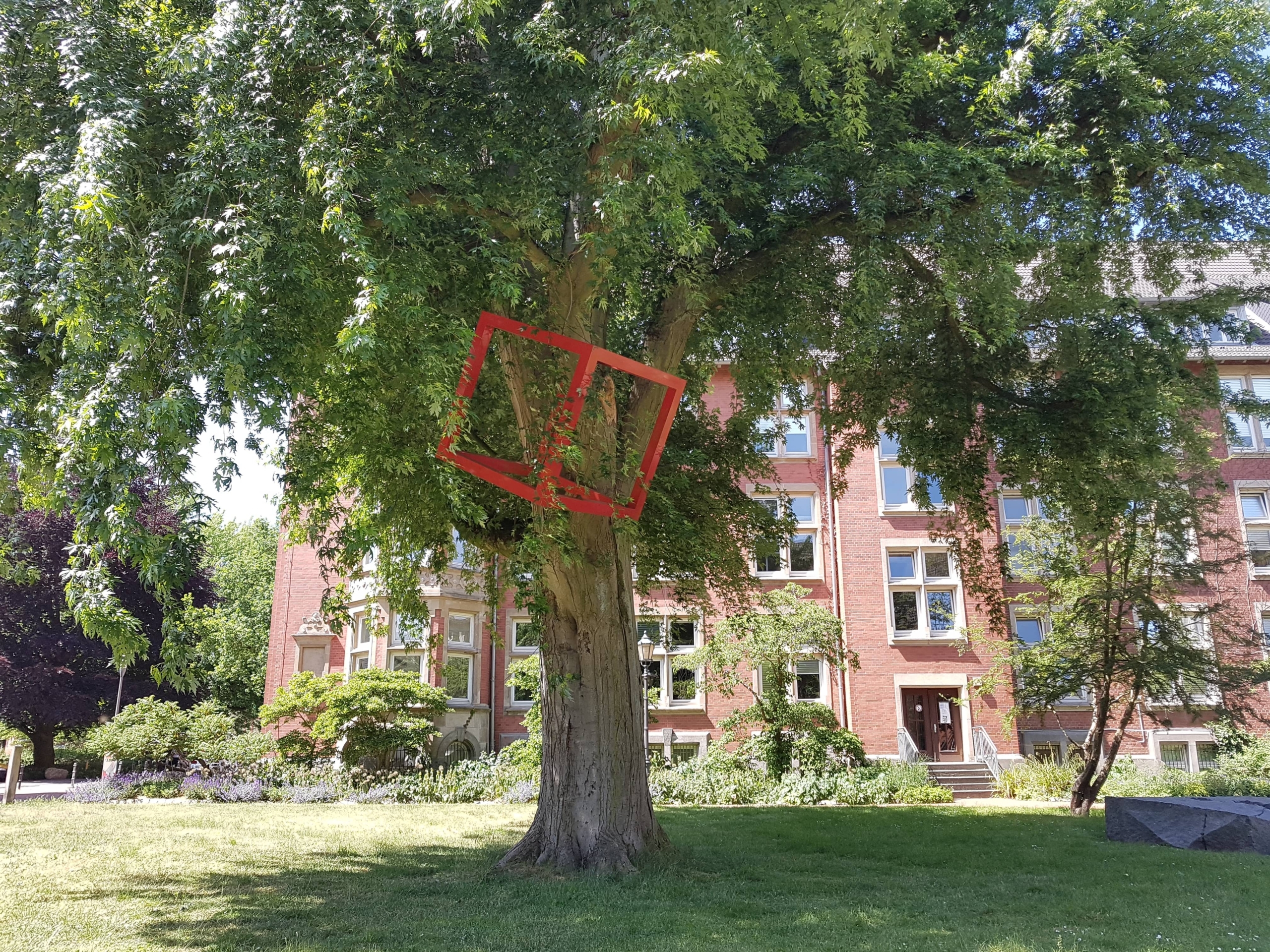 Cube in Trees Schrader Kunstpfad