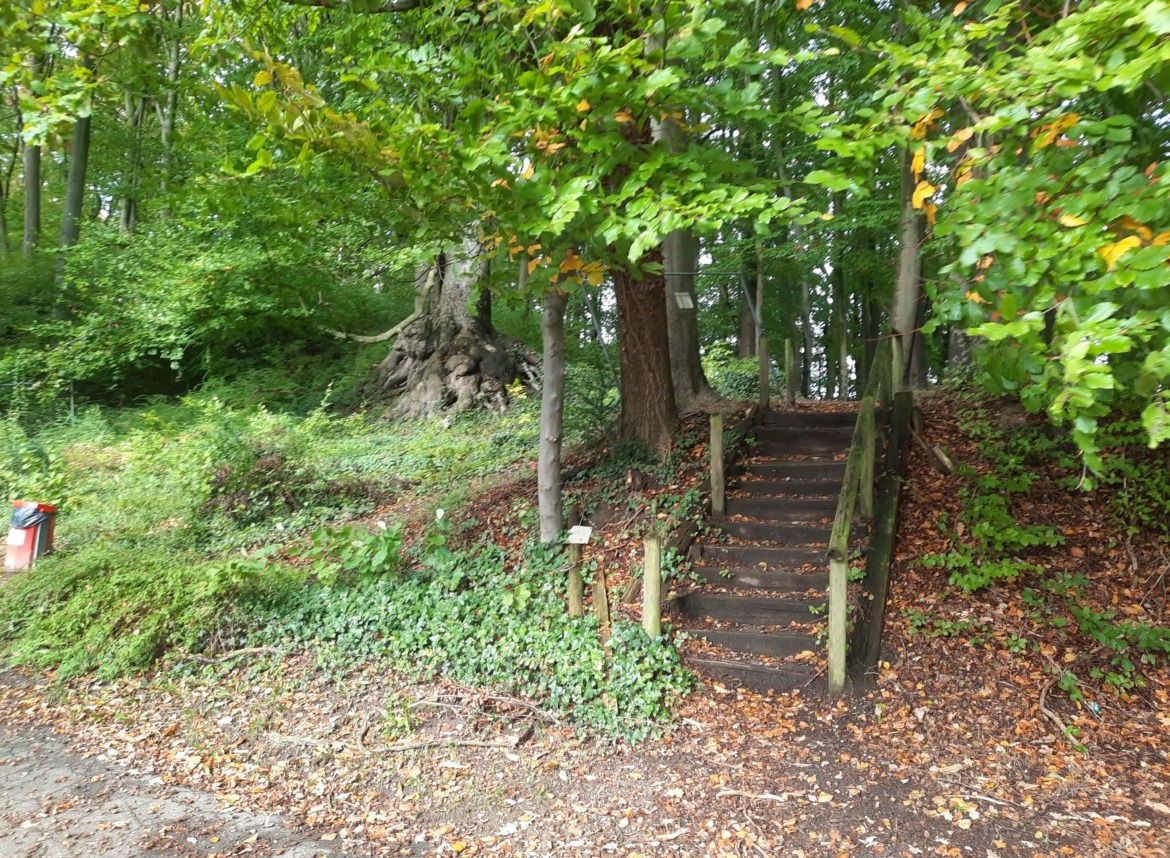 Burgberg Treppe - Hoschützky-min