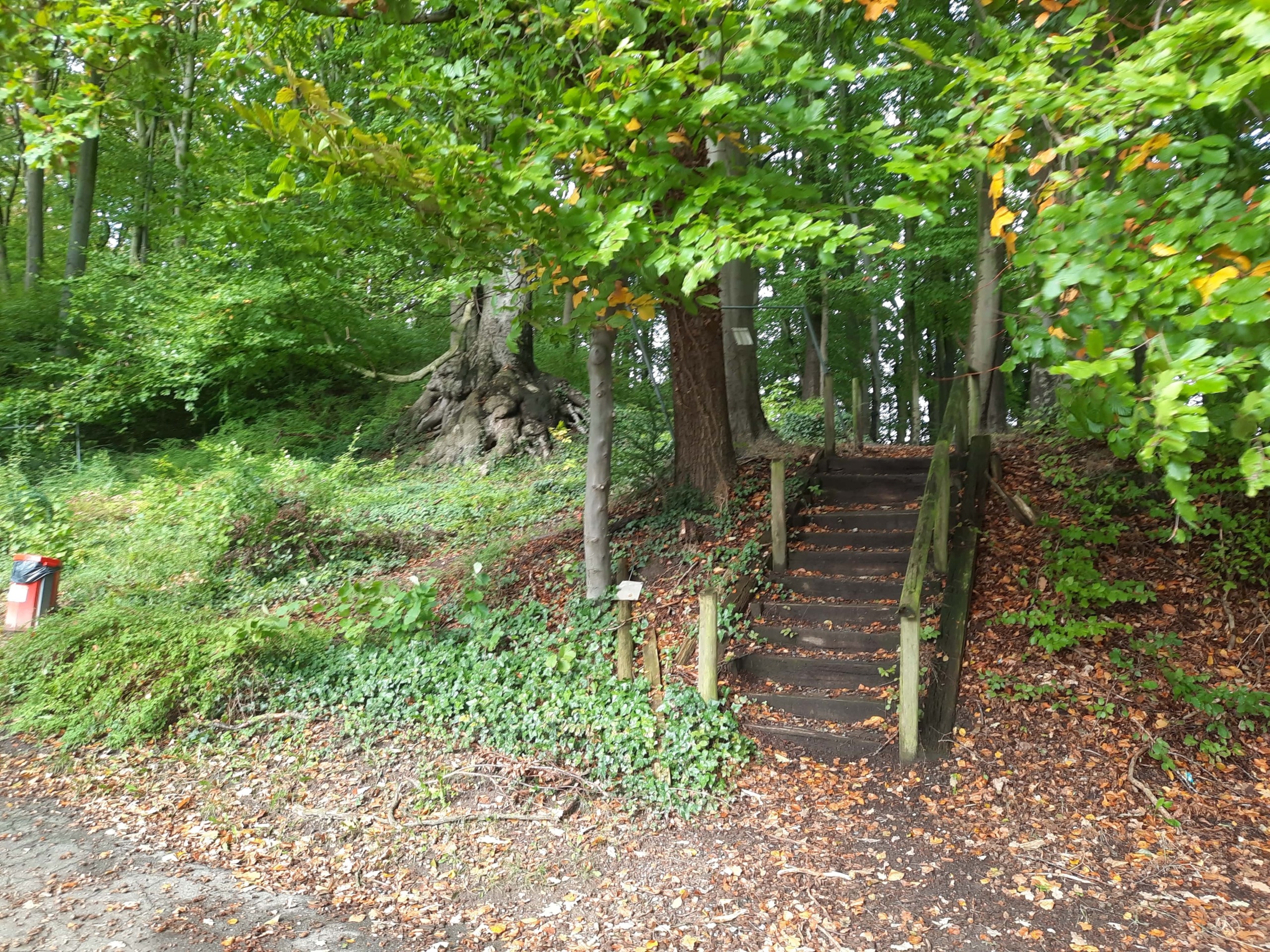 Burgberg Treppe - Hoschützky-min